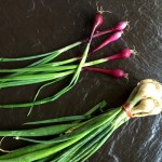 spring-onions